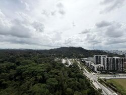 Foresque Residences (D23), Condominium #577008391
